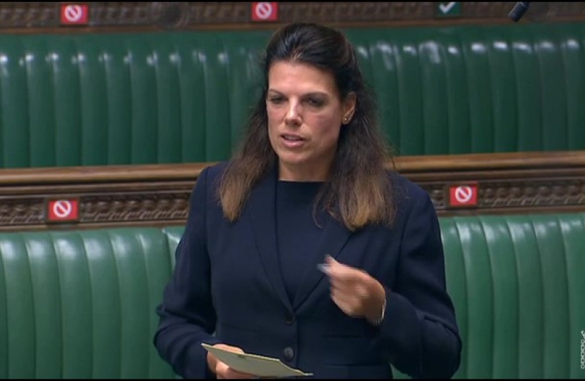 About Caroline Nokes Caroline Nokes 2444